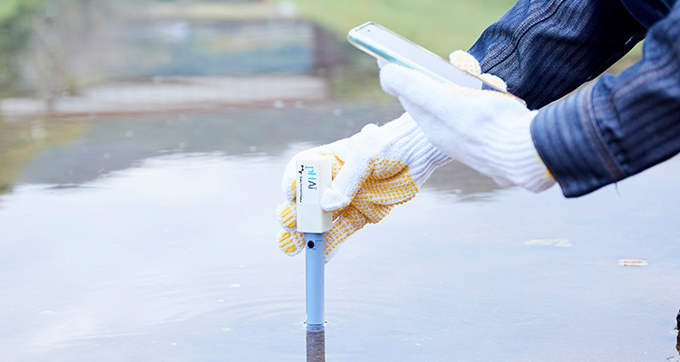 AdobeStock_293296939